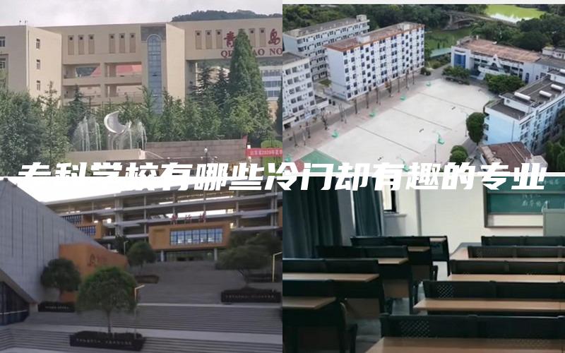 专科学校有哪些冷门却有趣的专业