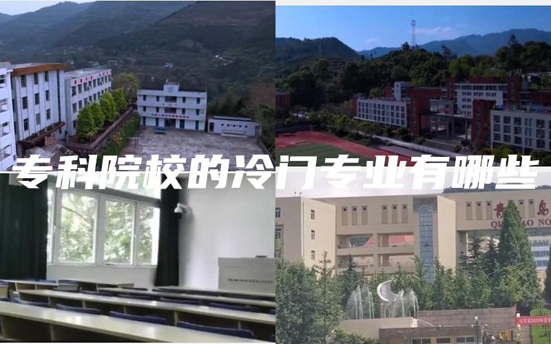 专科院校的冷门专业有哪些