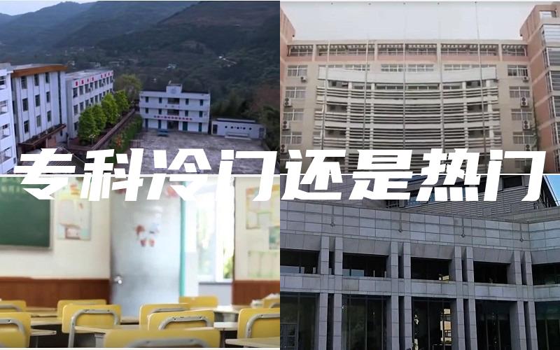 专科冷门还是热门