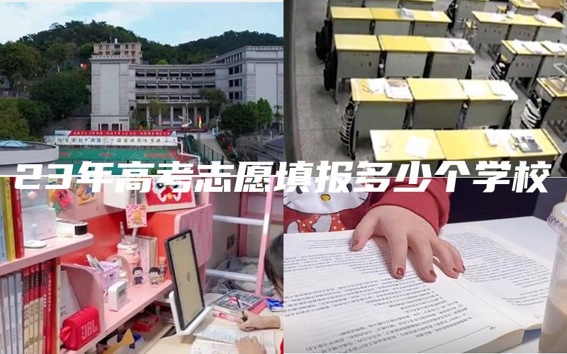 23年高考志愿填报多少个学校