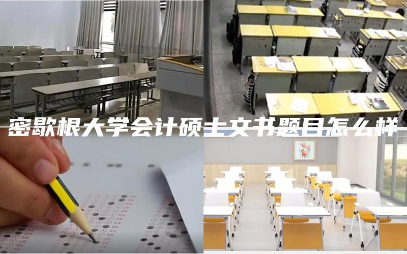 密歇根大学会计硕士文书题目怎么样