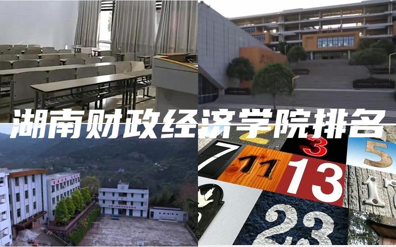 湖南财政经济学院排名