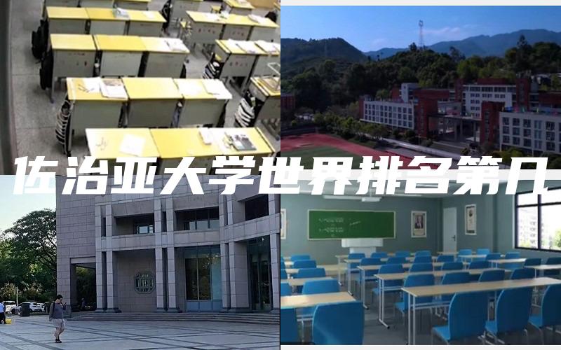 佐治亚大学世界排名第几