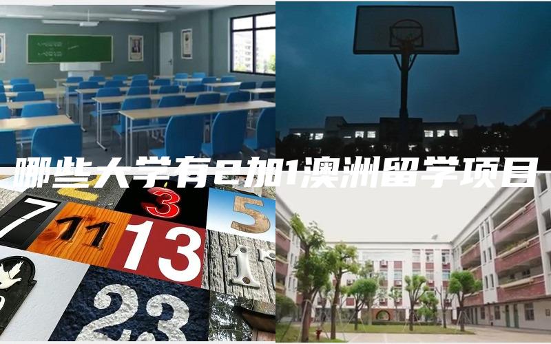 哪些大学有2加1澳洲留学项目