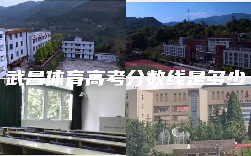 武昌体育高考分数线是多少