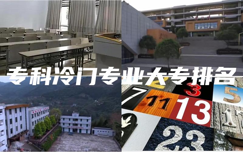 专科冷门专业大专排名