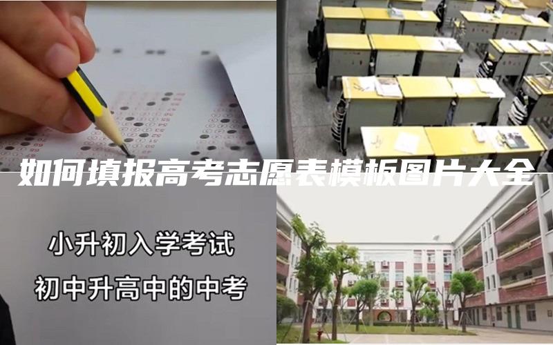 如何填报高考志愿表模板图片大全