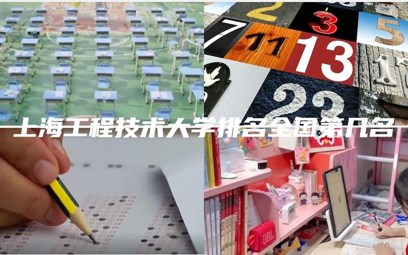 上海工程技术大学排名全国第几名