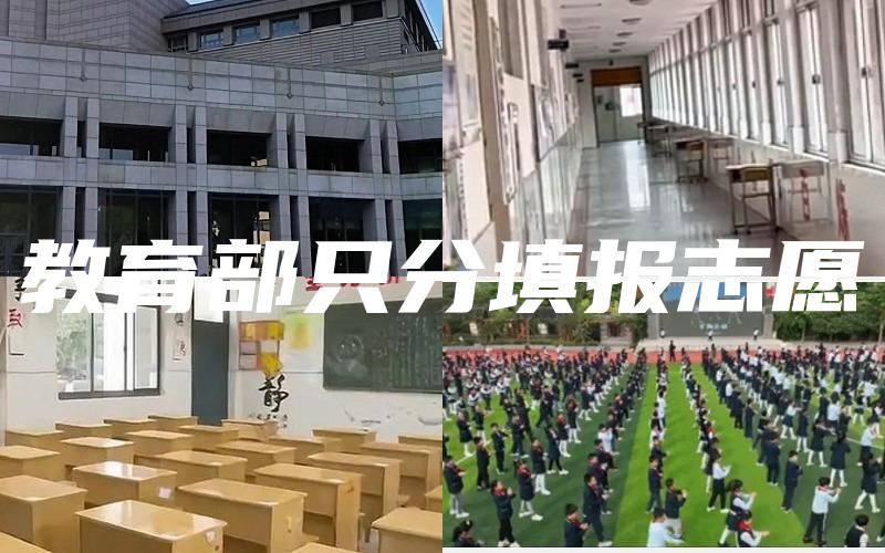 教育部只分填报志愿