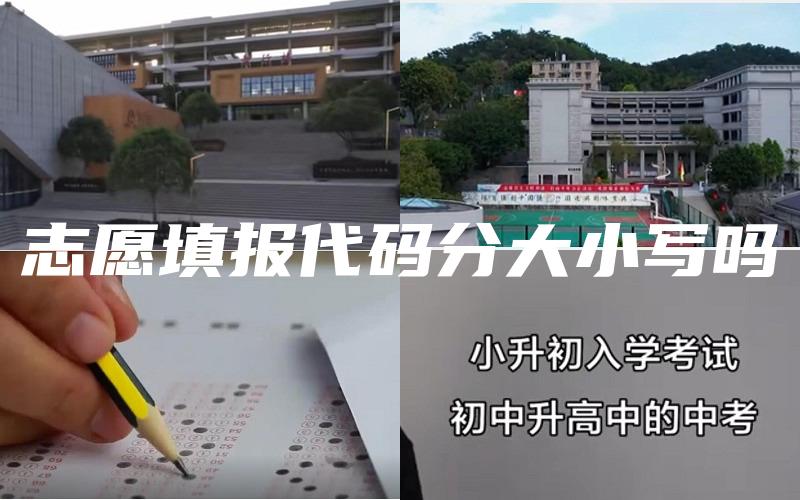 志愿填报代码分大小写吗