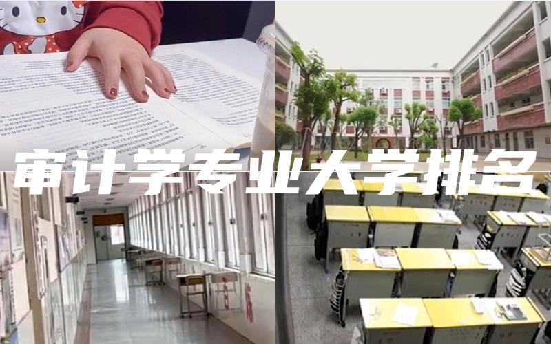 审计学专业大学排名
