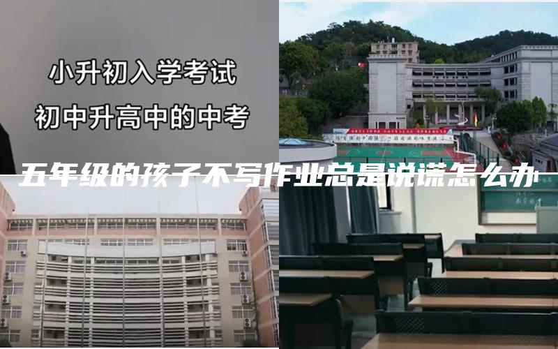 五年级的孩子不写作业总是说谎怎么办
