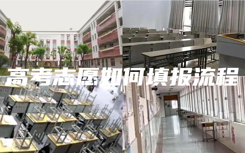高考志愿如何填报流程
