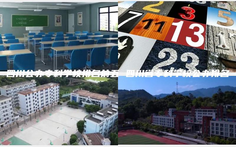四川公办专科学校排名前五 四川省专科学校公办排名