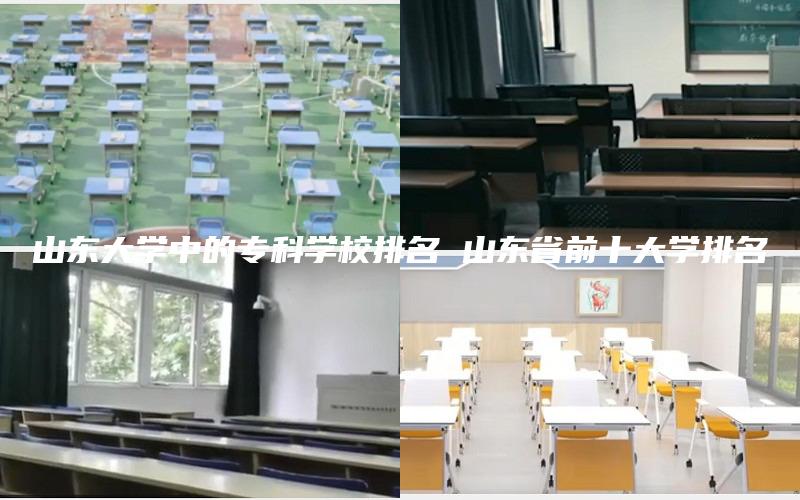 山东大学中的专科学校排名 山东省前十大学排名