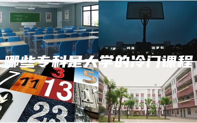 哪些专科是大学的冷门课程