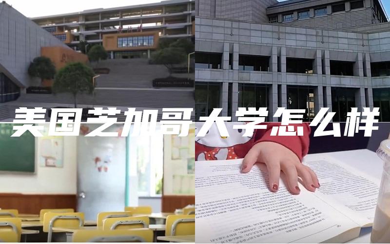 美国芝加哥大学怎么样