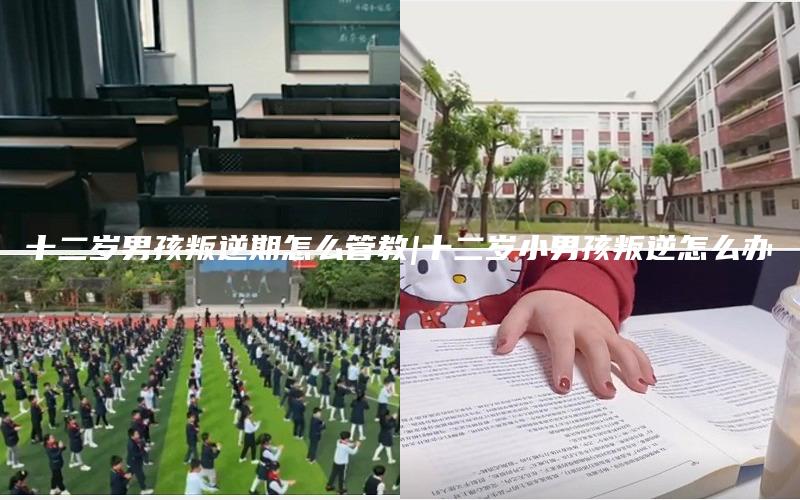 十二岁男孩叛逆期怎么管教|十二岁小男孩叛逆怎么办