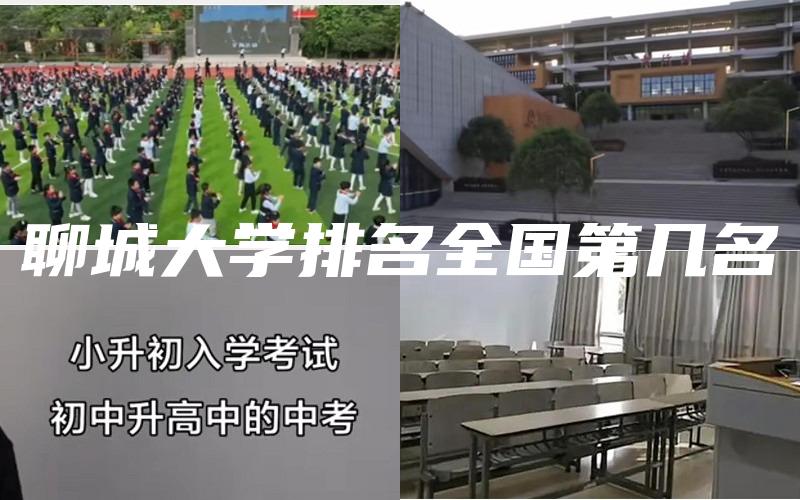 聊城大学排名全国第几名