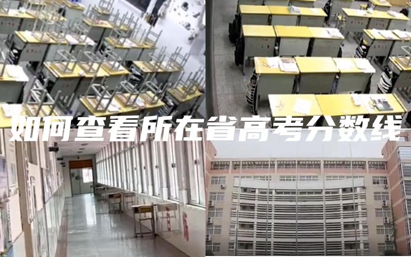 如何查看所在省高考分数线