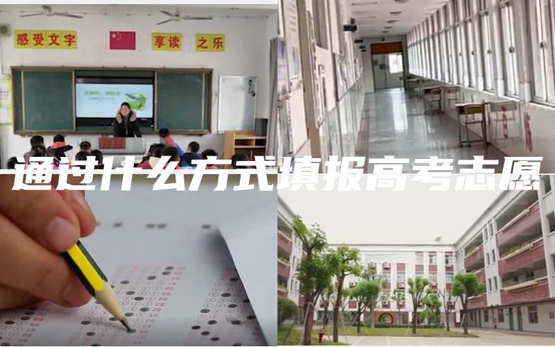 通过什么方式填报高考志愿
