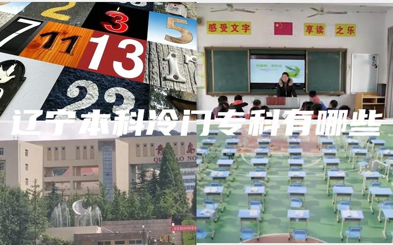 辽宁本科冷门专科有哪些