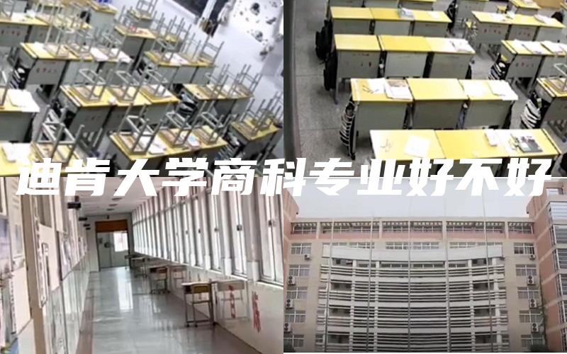 迪肯大学商科专业好不好