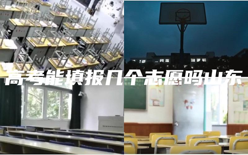 高考能填报几个志愿吗山东