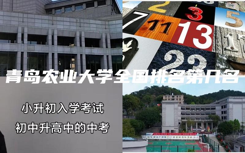青岛农业大学全国排名第几名