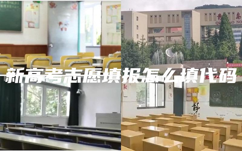 新高考志愿填报怎么填代码