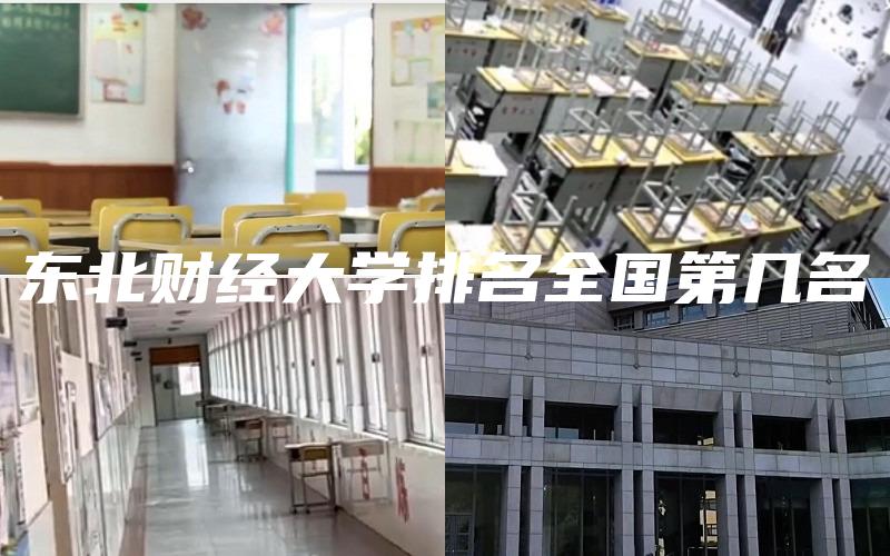 东北财经大学排名全国第几名