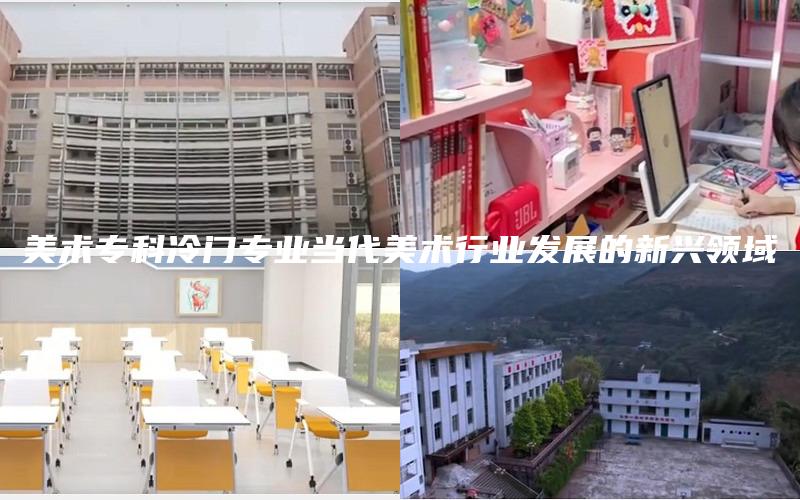 美术专科冷门专业当代美术行业发展的新兴领域
