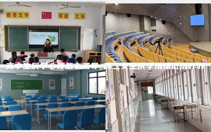 高中生厌学心理怎么疏导_高二女生厌学情绪低落咋办