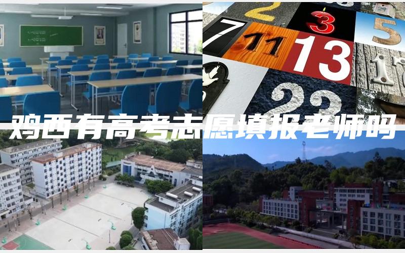 鸡西有高考志愿填报老师吗